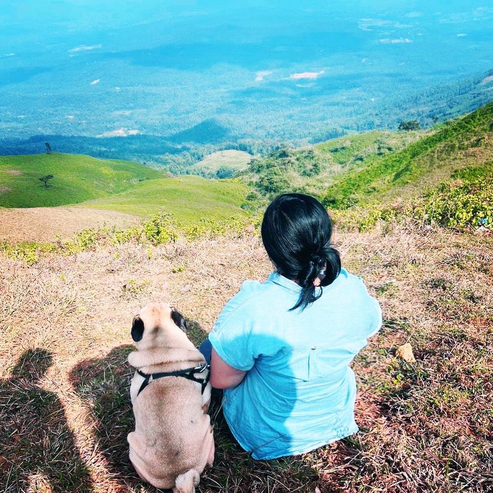 Rupa at a mountaintop viewpoint with her pug